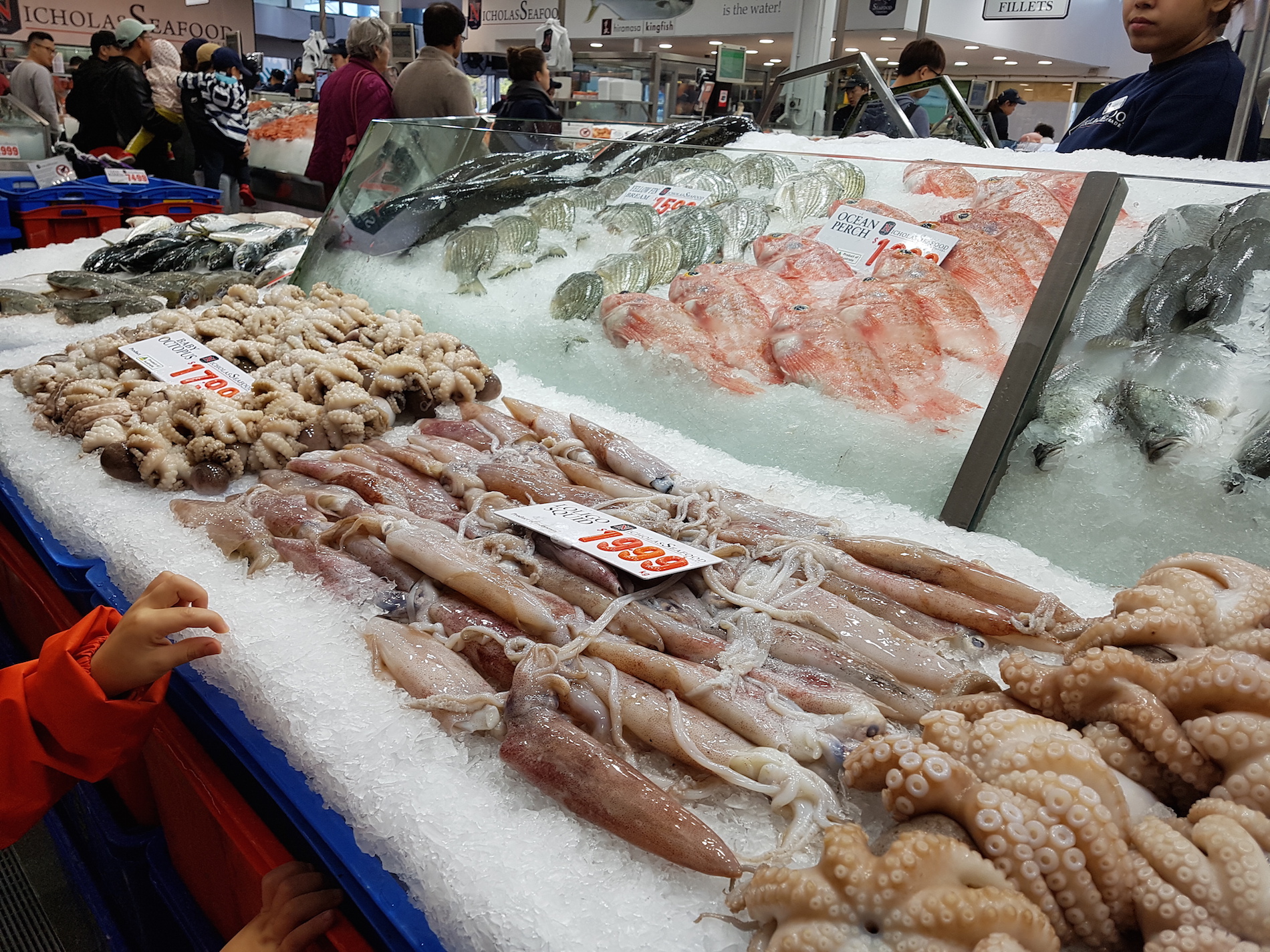 fish_Market_sydney_04