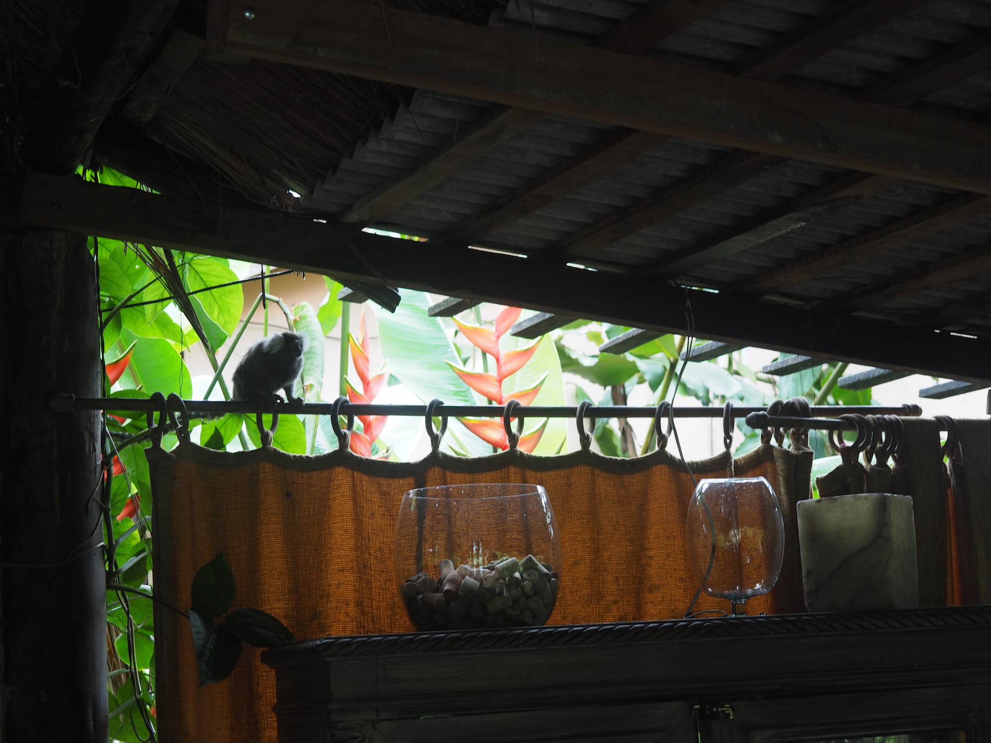 Magia verde pousada paraty