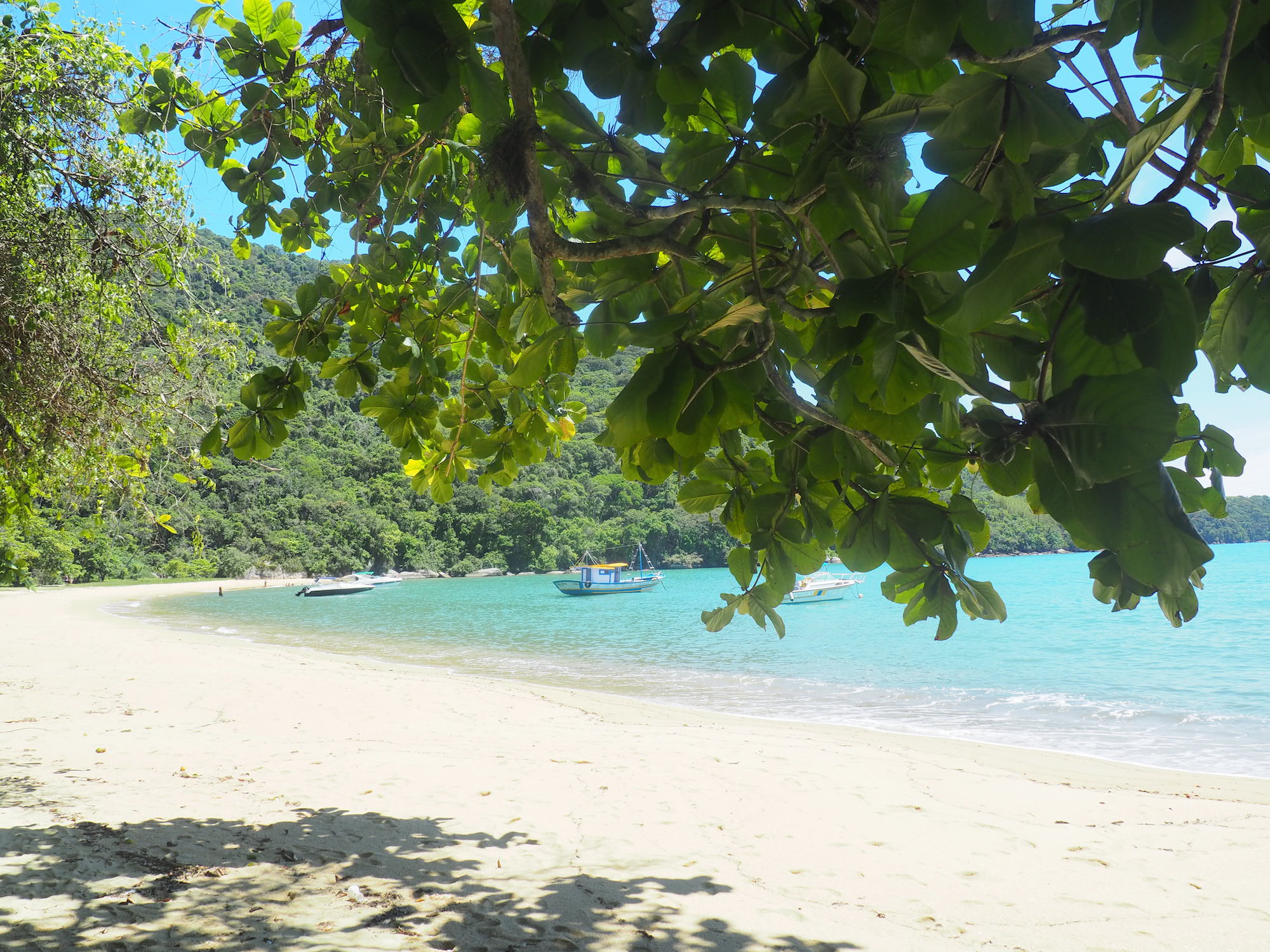 ILHA GRANDE