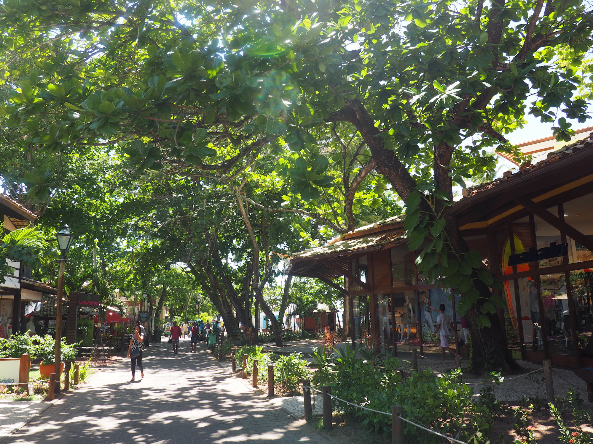 Praia do forte