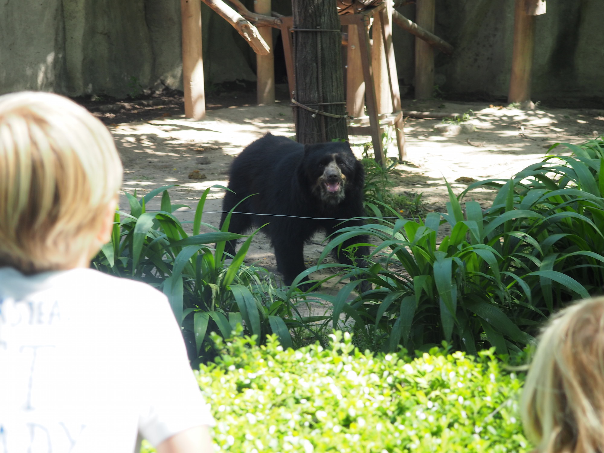 ZOO buenos aires