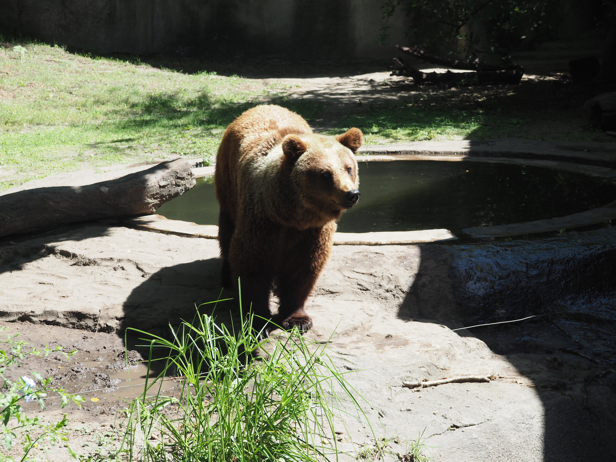 ZOO buenos aires