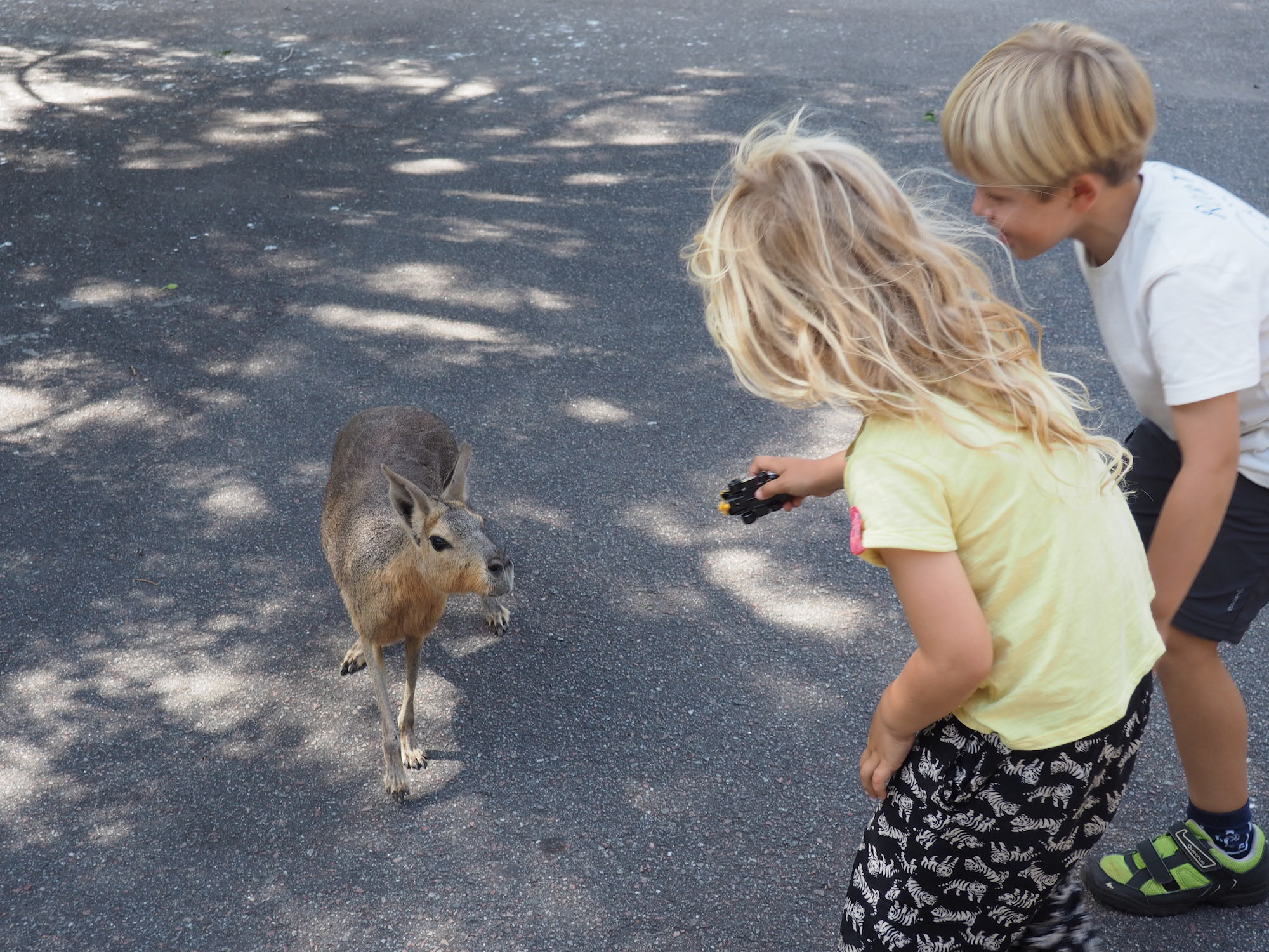 ZOO buenos aires