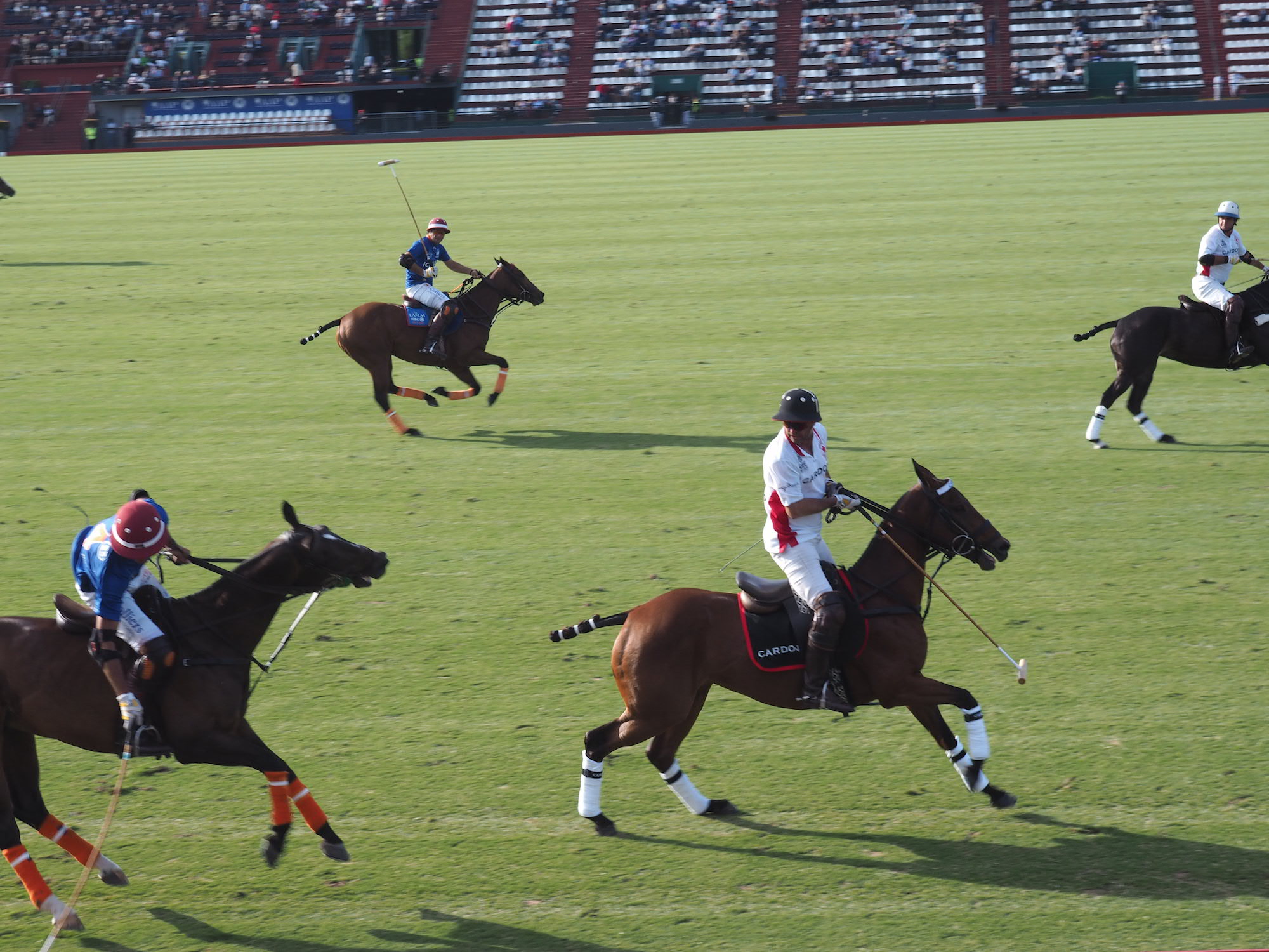 Polo Buenos aires