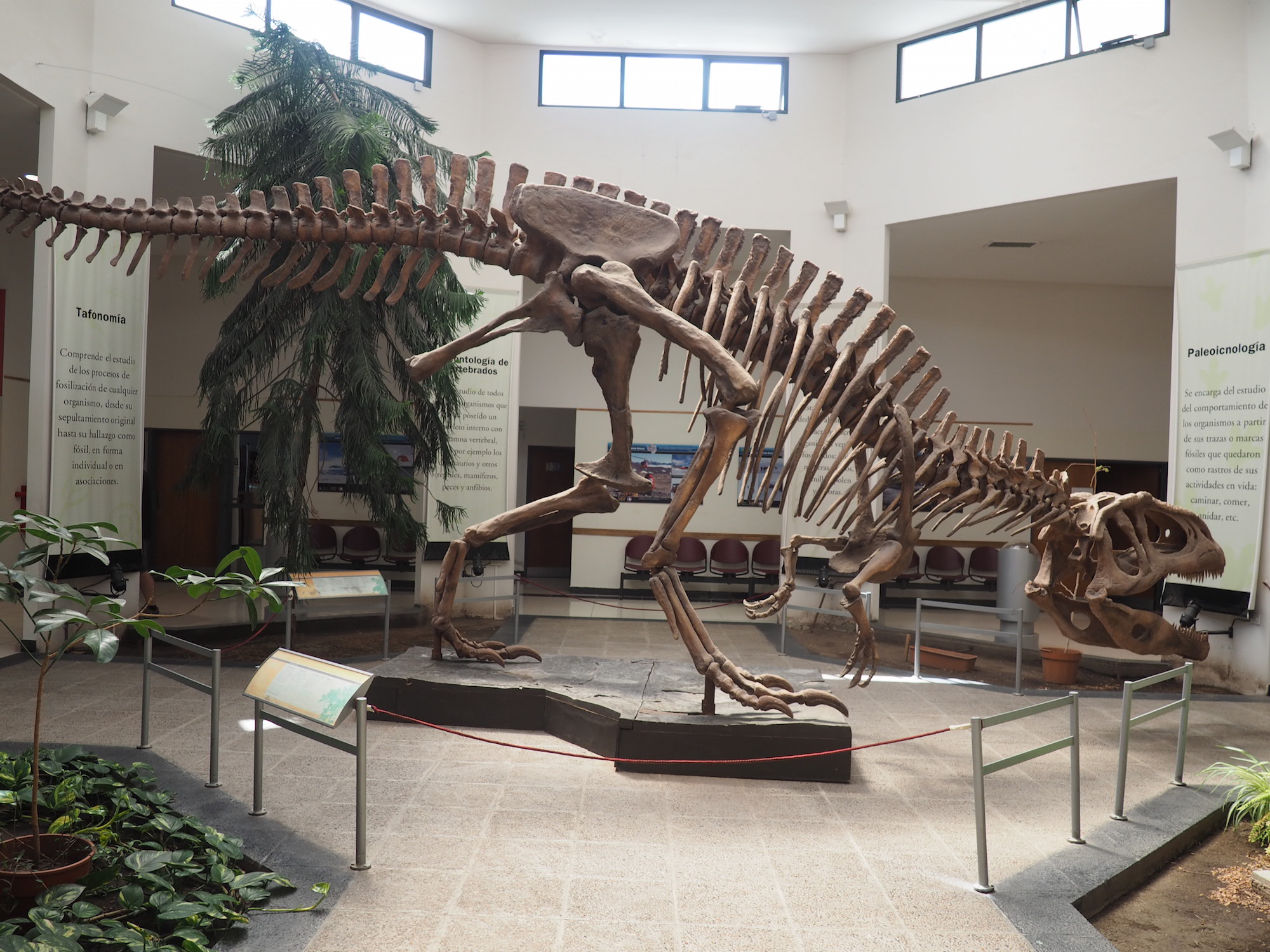 Musée des dinosaures trelew