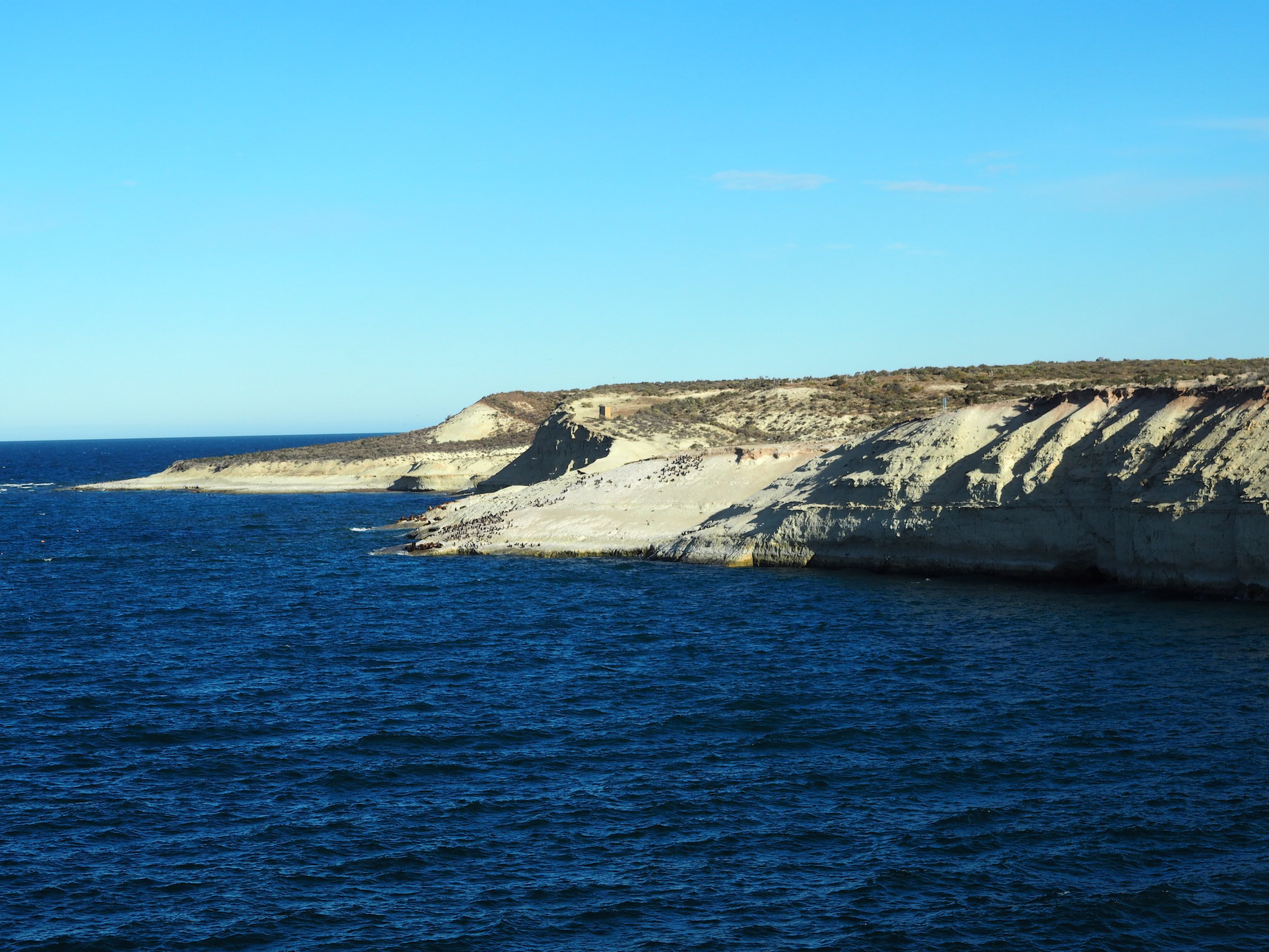Peninsula Valdès avec les enfants