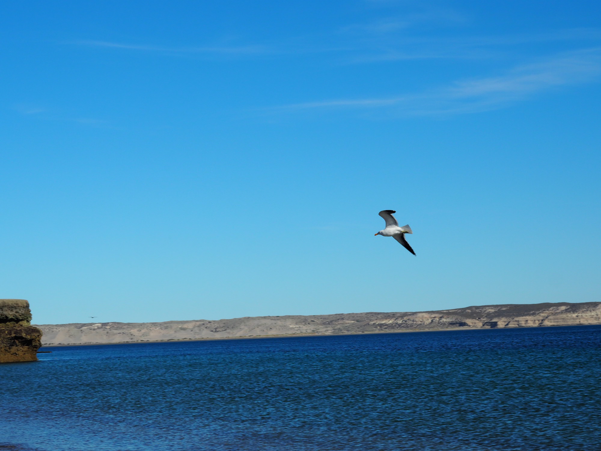 plage puerto piramides