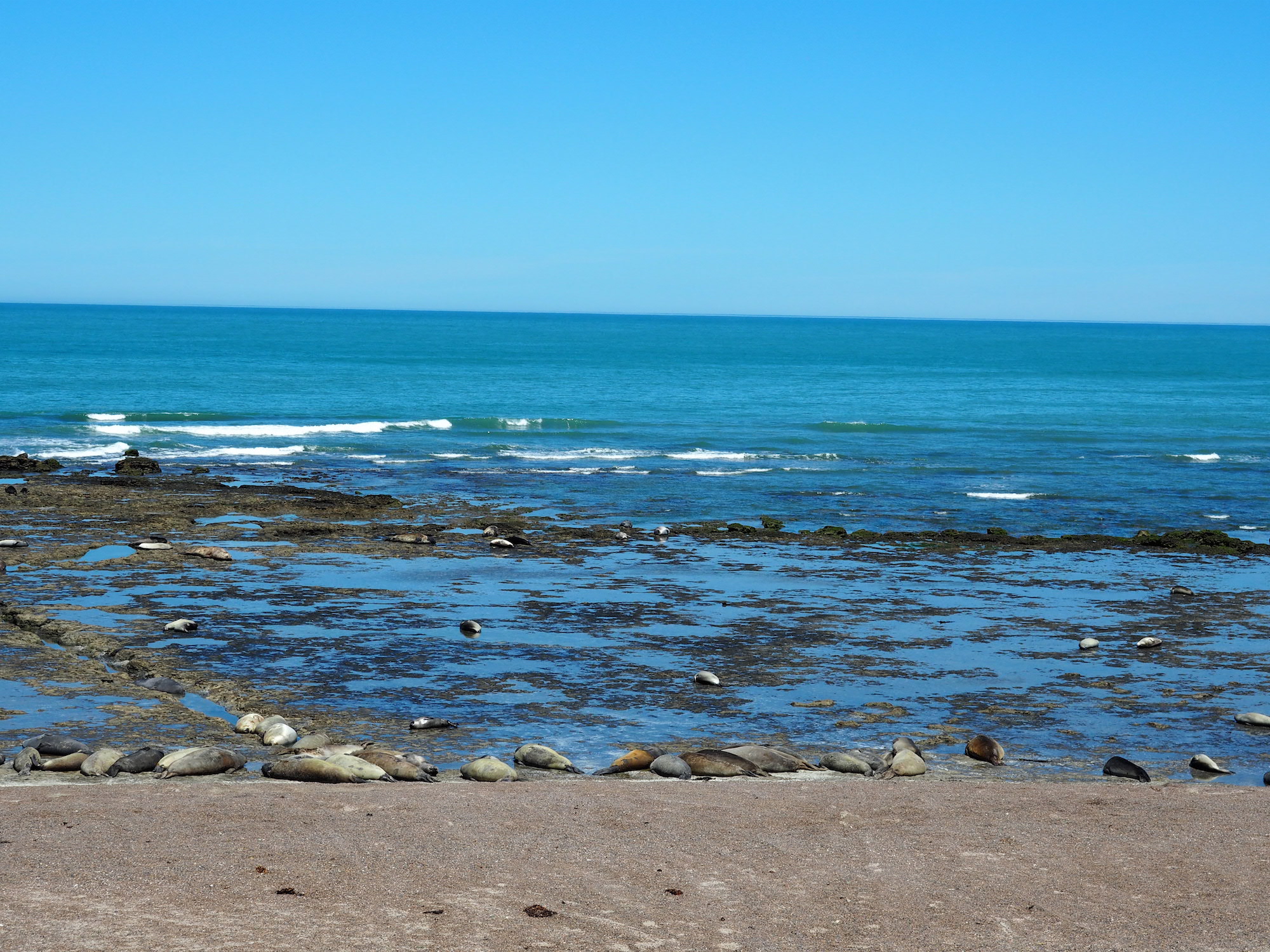 puerto piramides