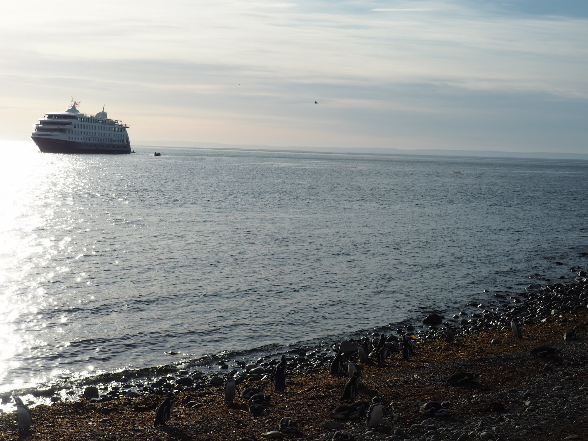 Croisiere Australis en famille Ushuaia Punta Arenas