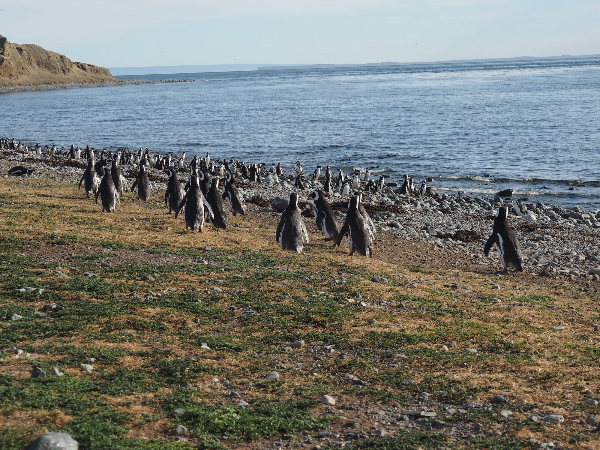 Croisiere Australis en famille Ushuaia Punta Arenas