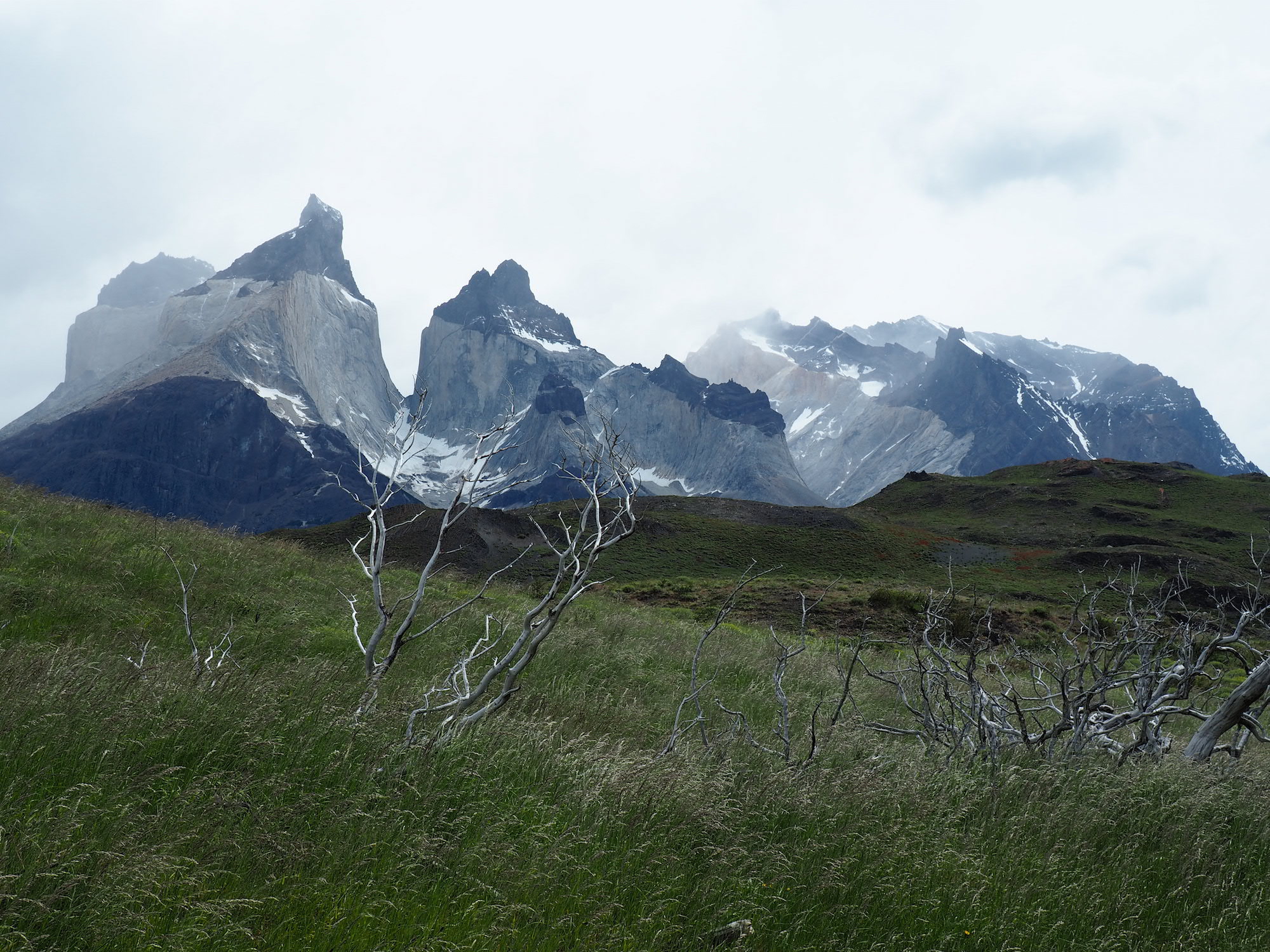 Torres del Paine