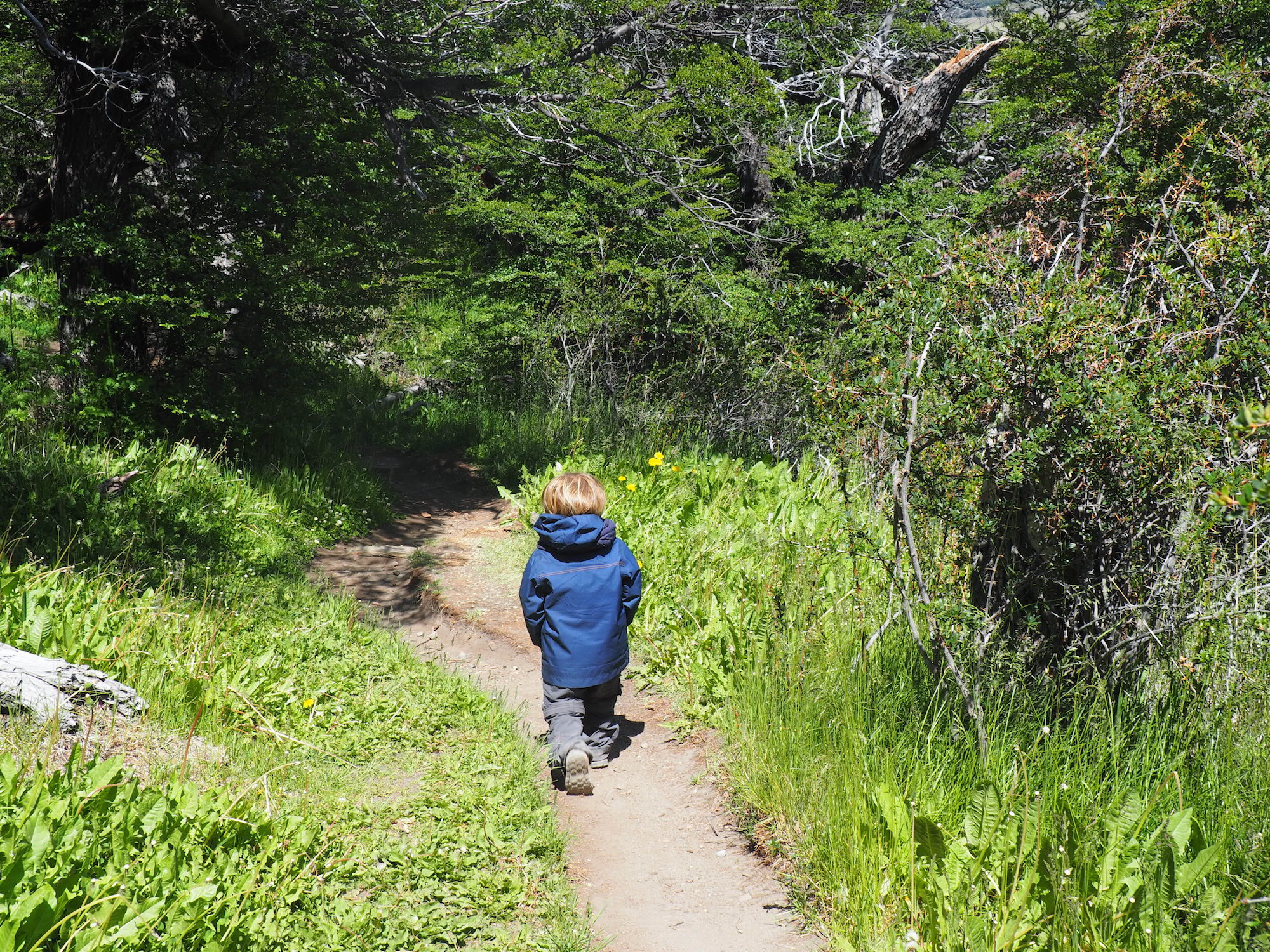 El Chalten avec les enfants