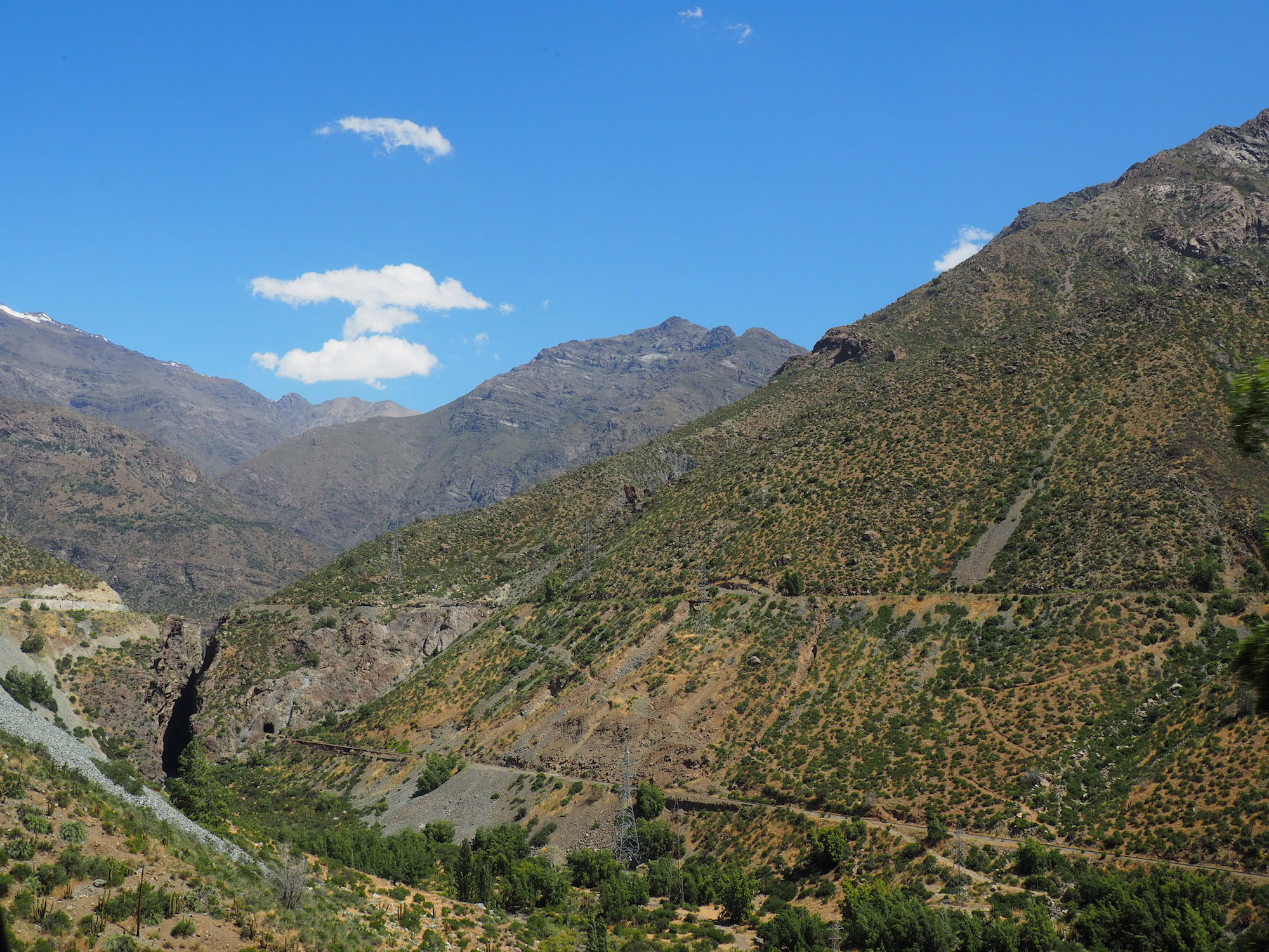 Mendoza bodega