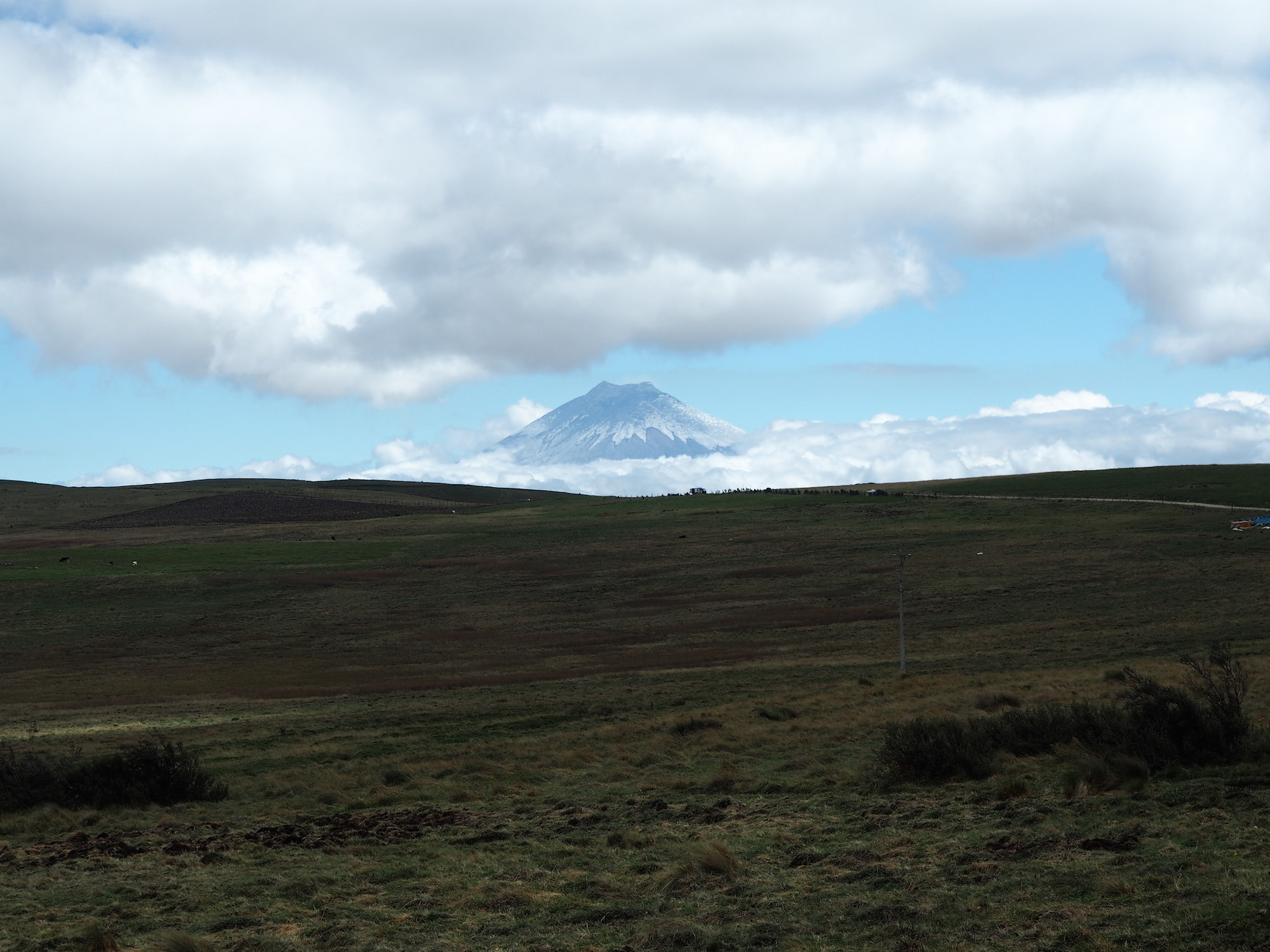 Cotopaxi