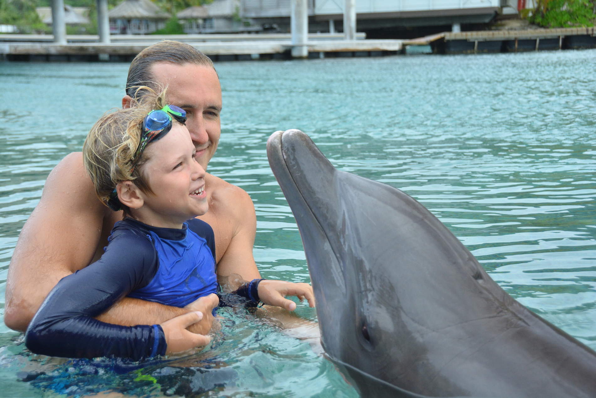 Avec les dauphins Moorea