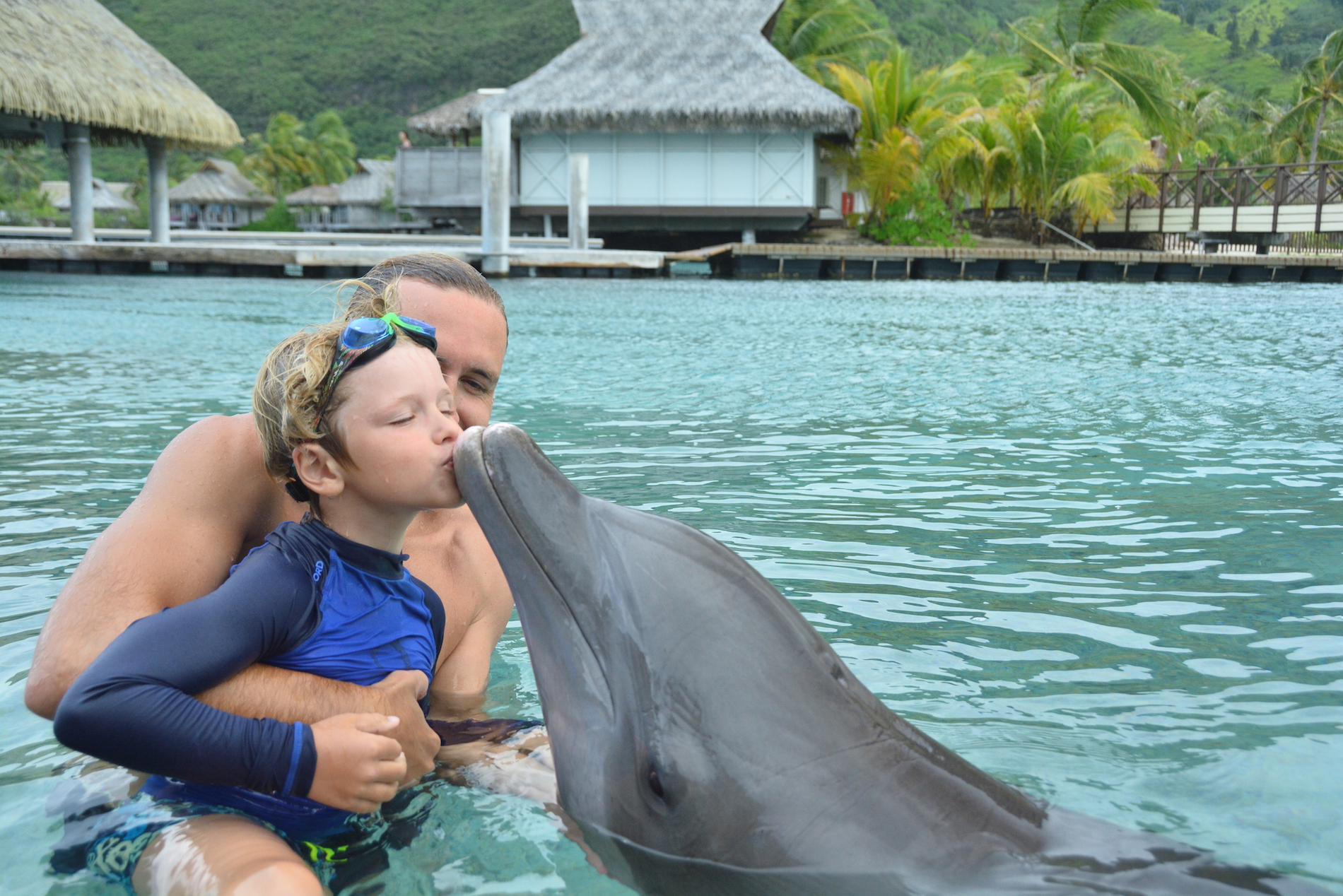 Avec les dauphins Moorea