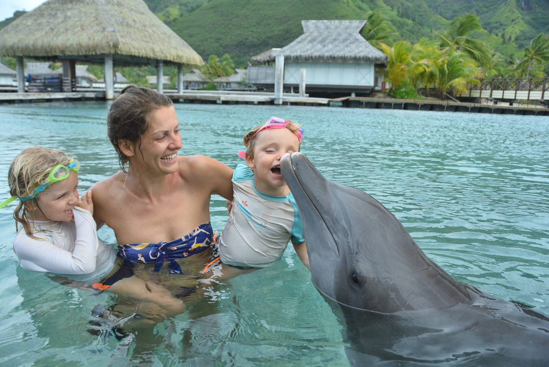 Avec les dauphins Moorea