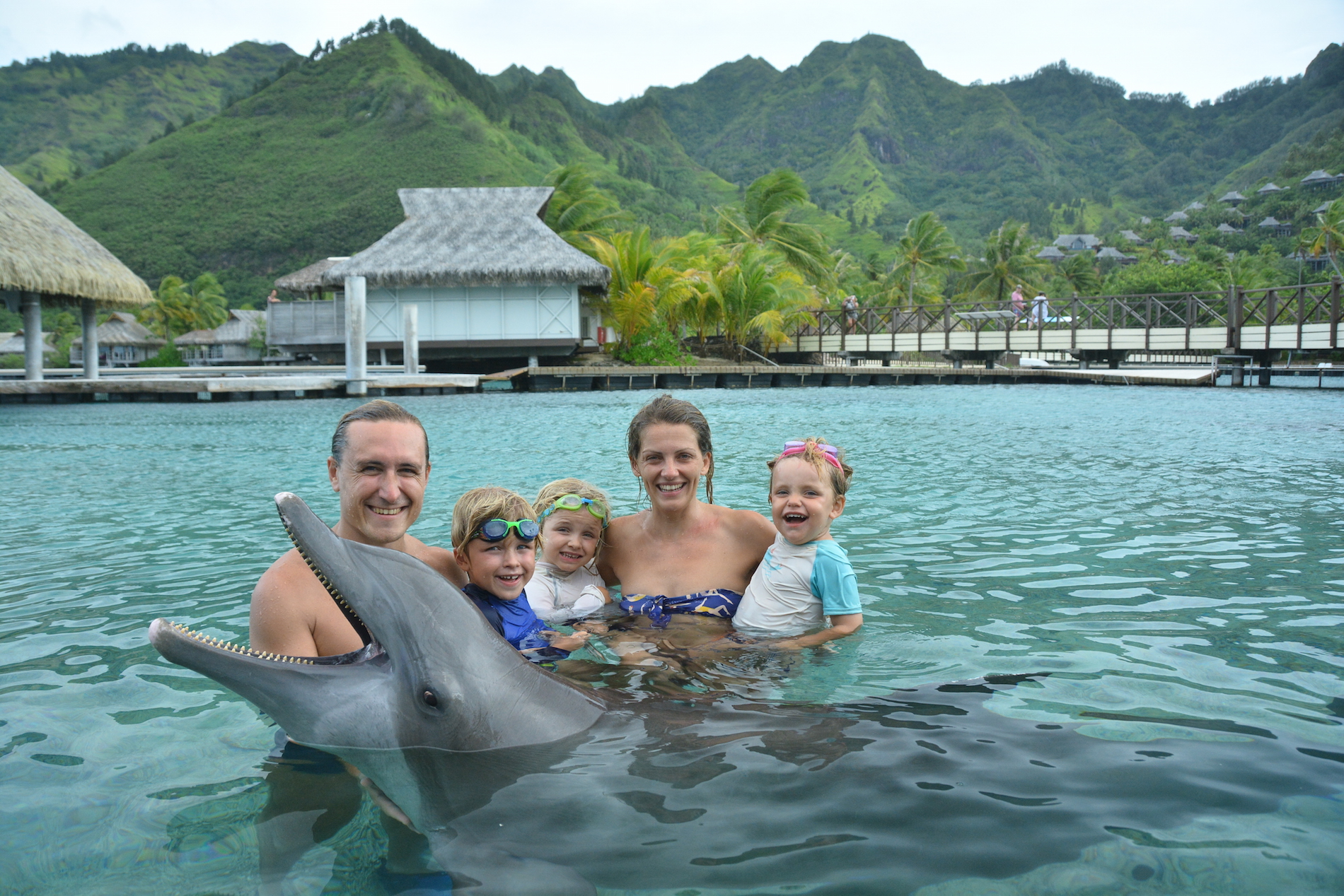 Avec les dauphins Moorea