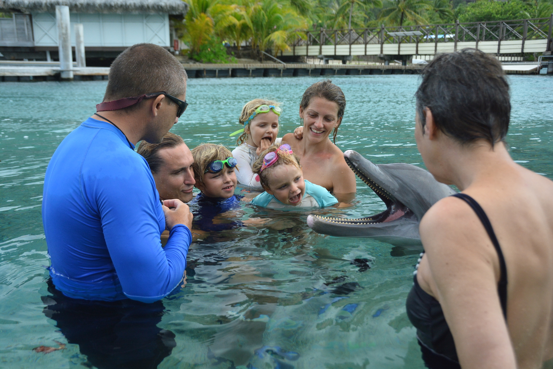 Avec les dauphins Moorea
