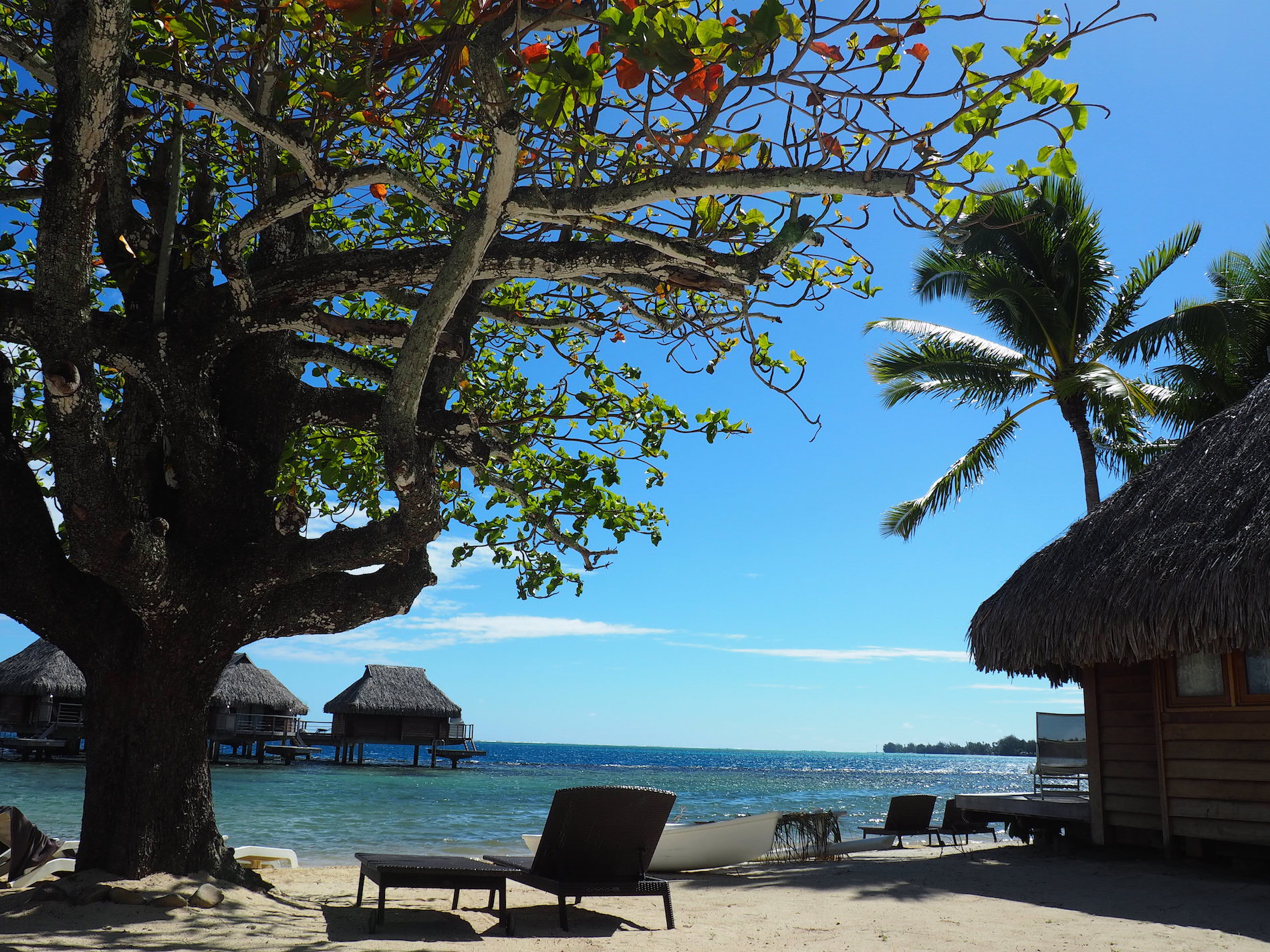 Moorea