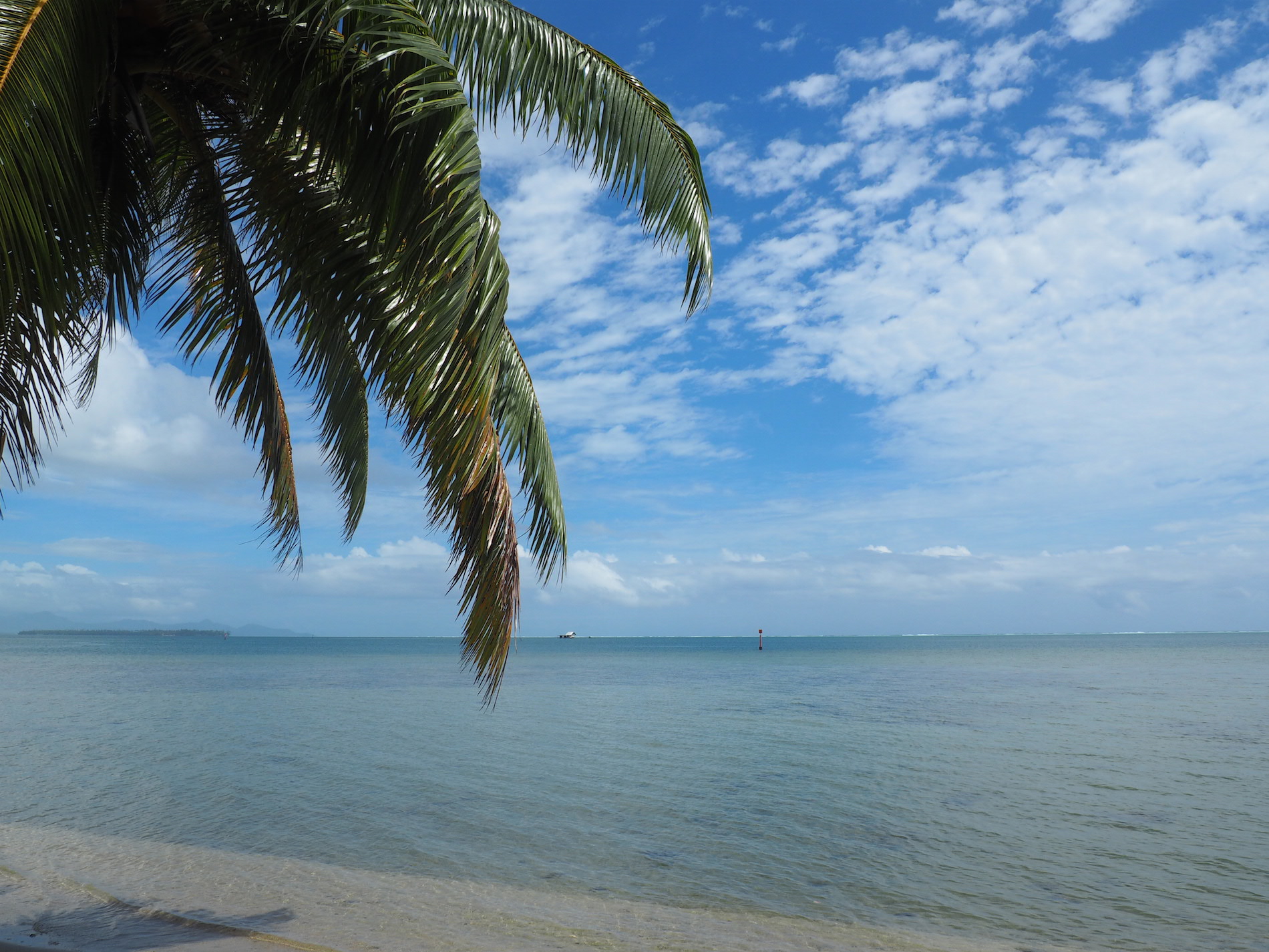 Raiatea Polynésie