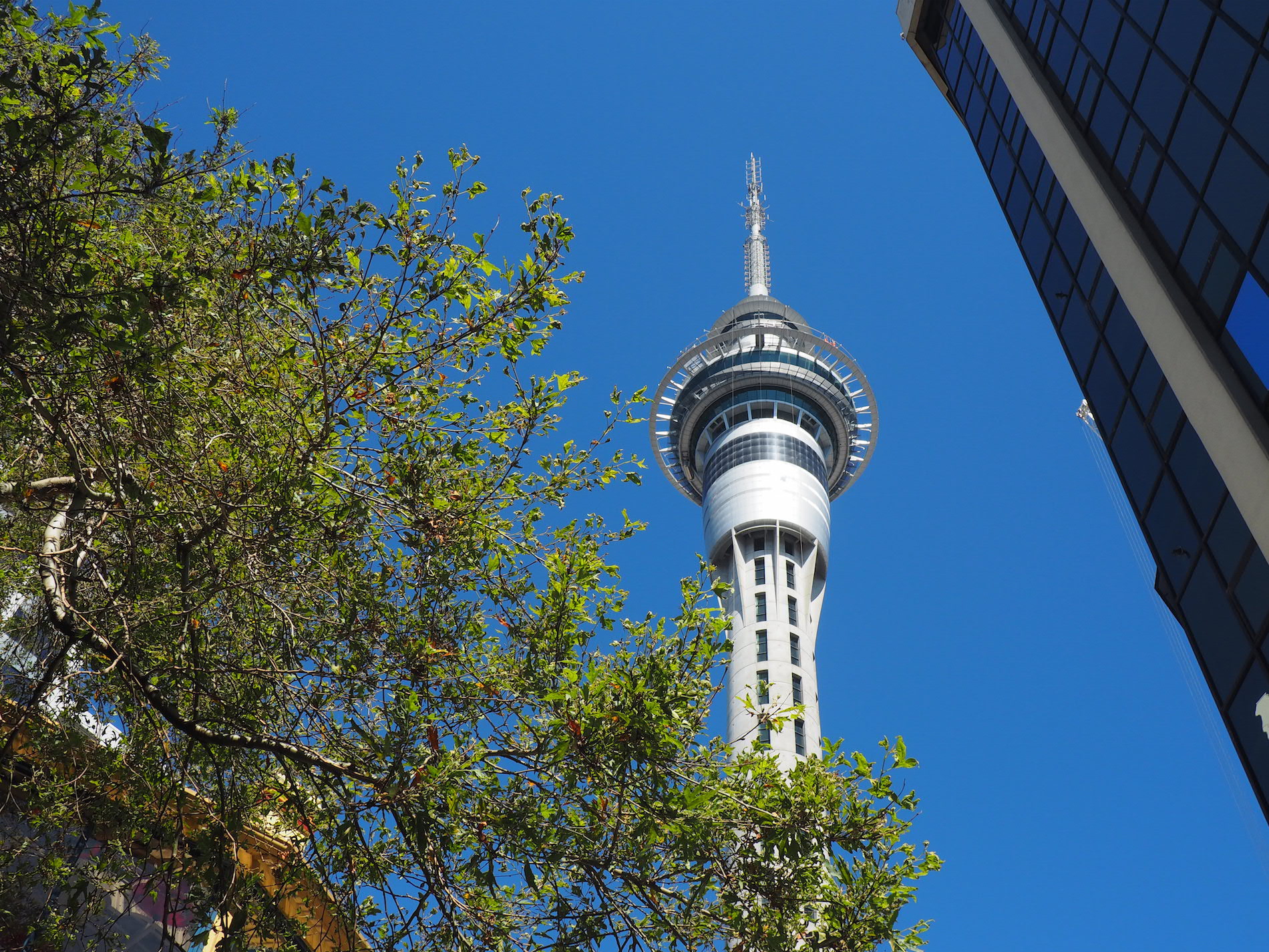 Auckland