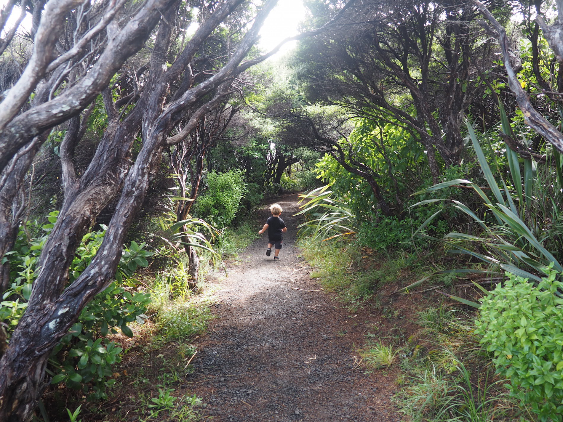 Piha