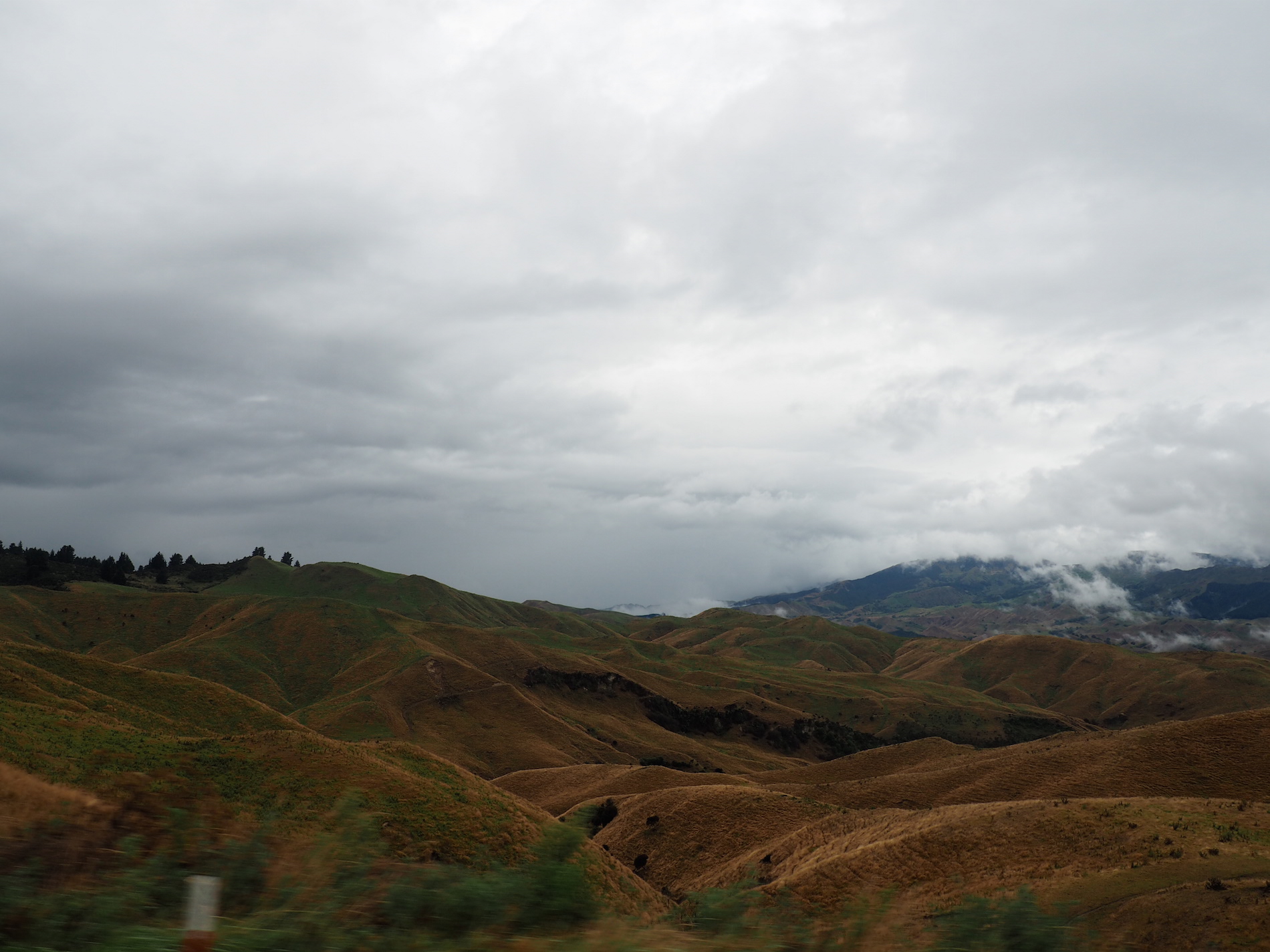 Wellington