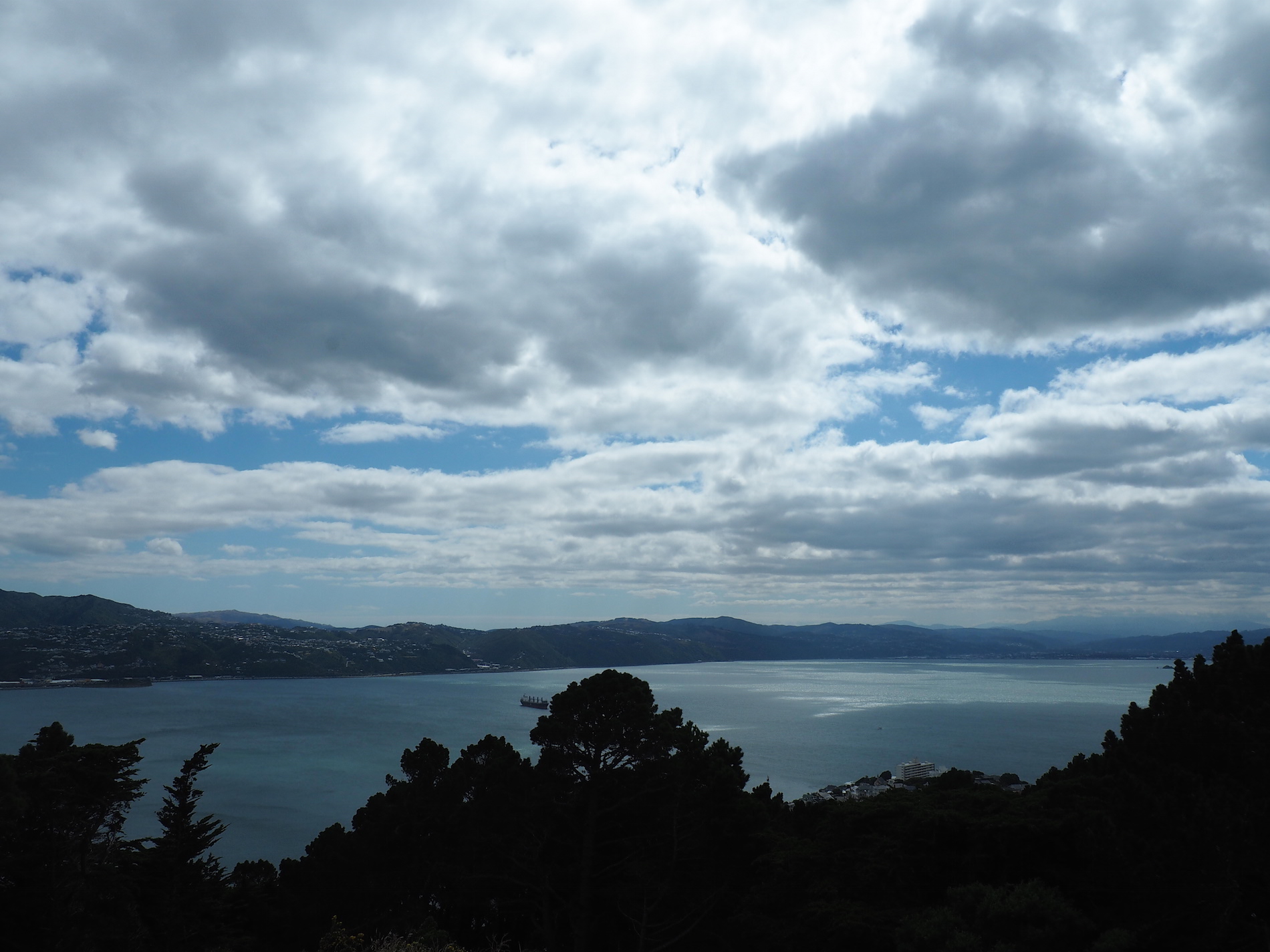 Wellington