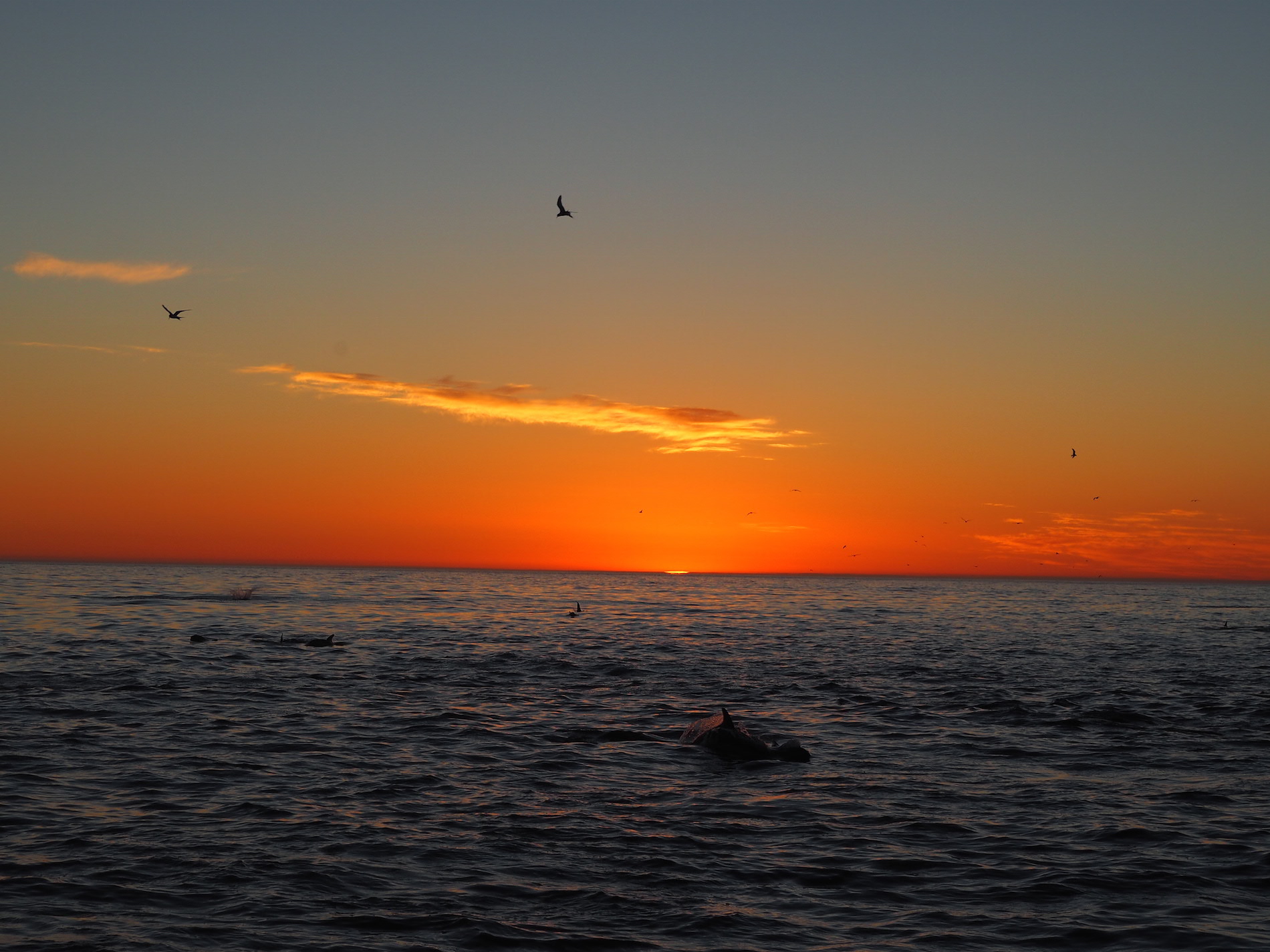 kaikoura