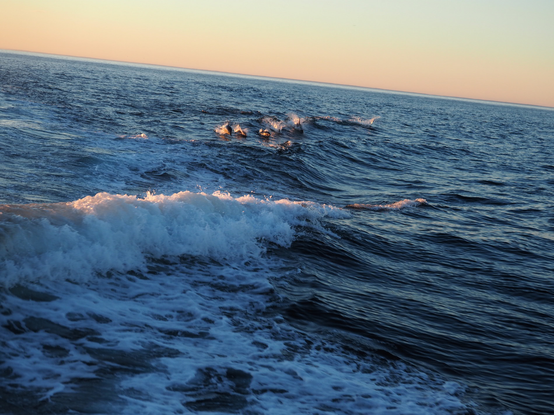 kaikoura