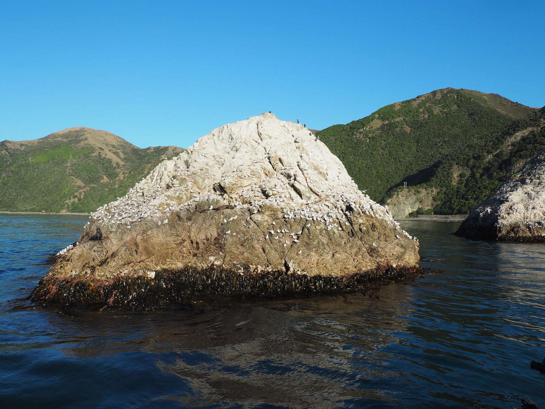 kaikoura