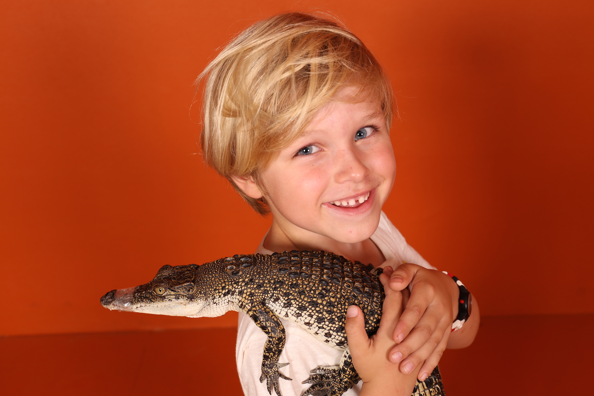 Crocosaurus Cove